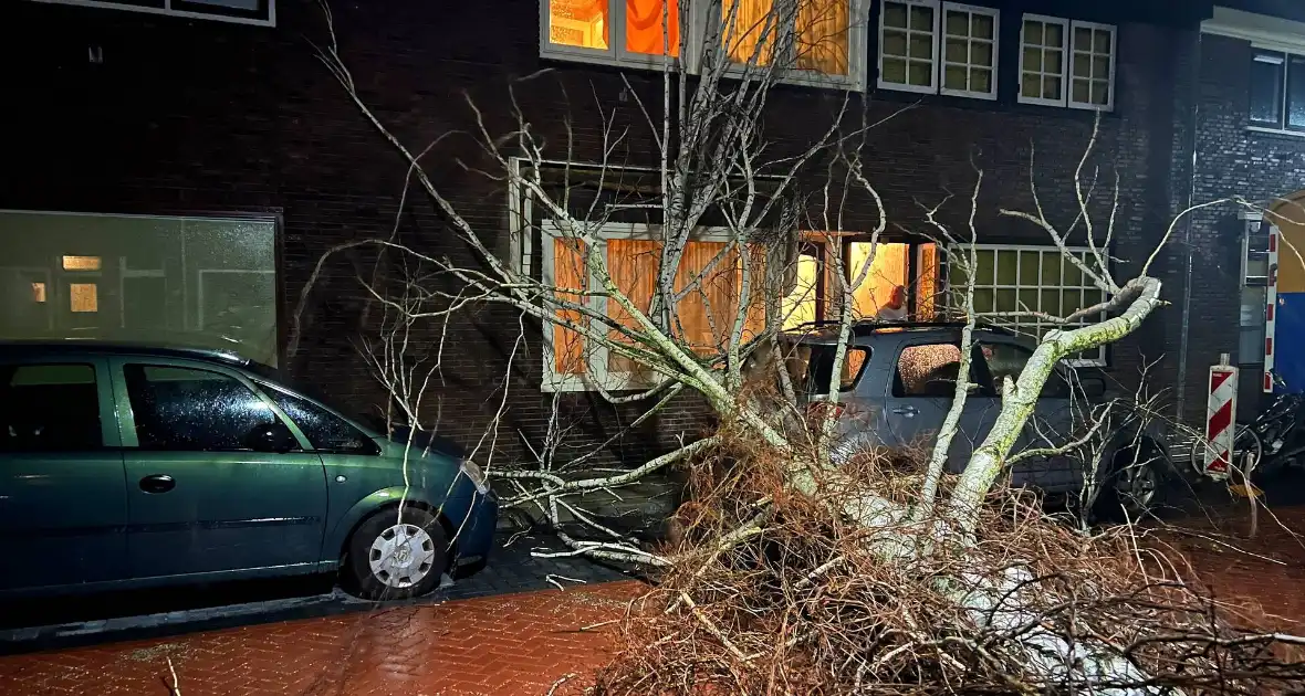 Boom valt op geparkeerde auto door sterke wind