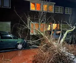 Boom valt op geparkeerde auto door sterke wind