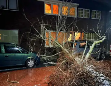 Boom valt op geparkeerde auto door sterke wind