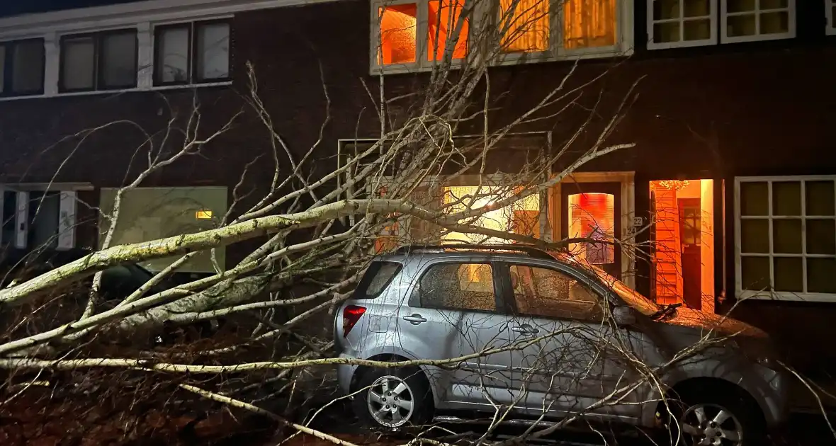 Boom valt op geparkeerde auto door sterke wind - Foto 1