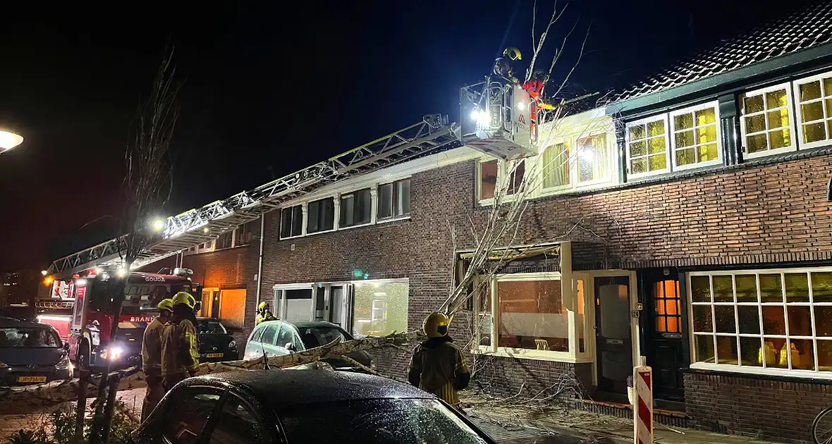 Boom valt op geparkeerde auto door sterke wind - Foto 10