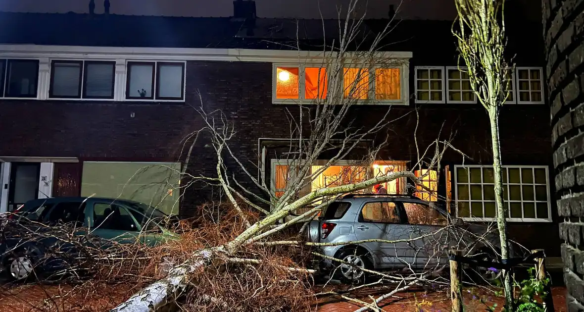 Boom valt op geparkeerde auto door sterke wind - Foto 2