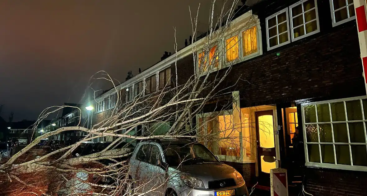 Boom valt op geparkeerde auto door sterke wind - Foto 3