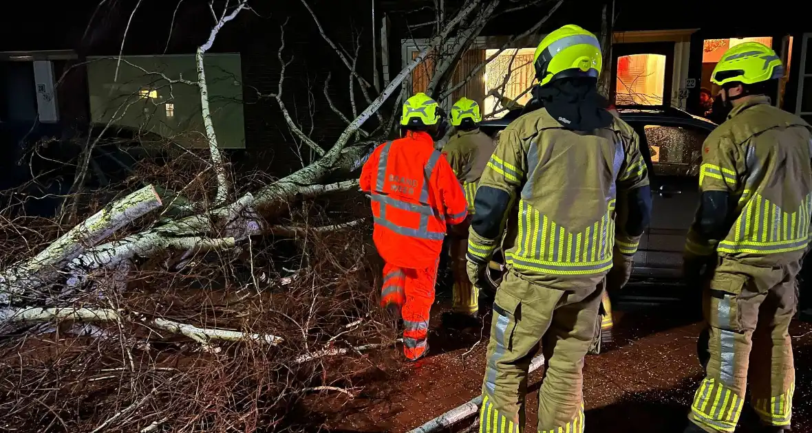 Boom valt op geparkeerde auto door sterke wind - Foto 4