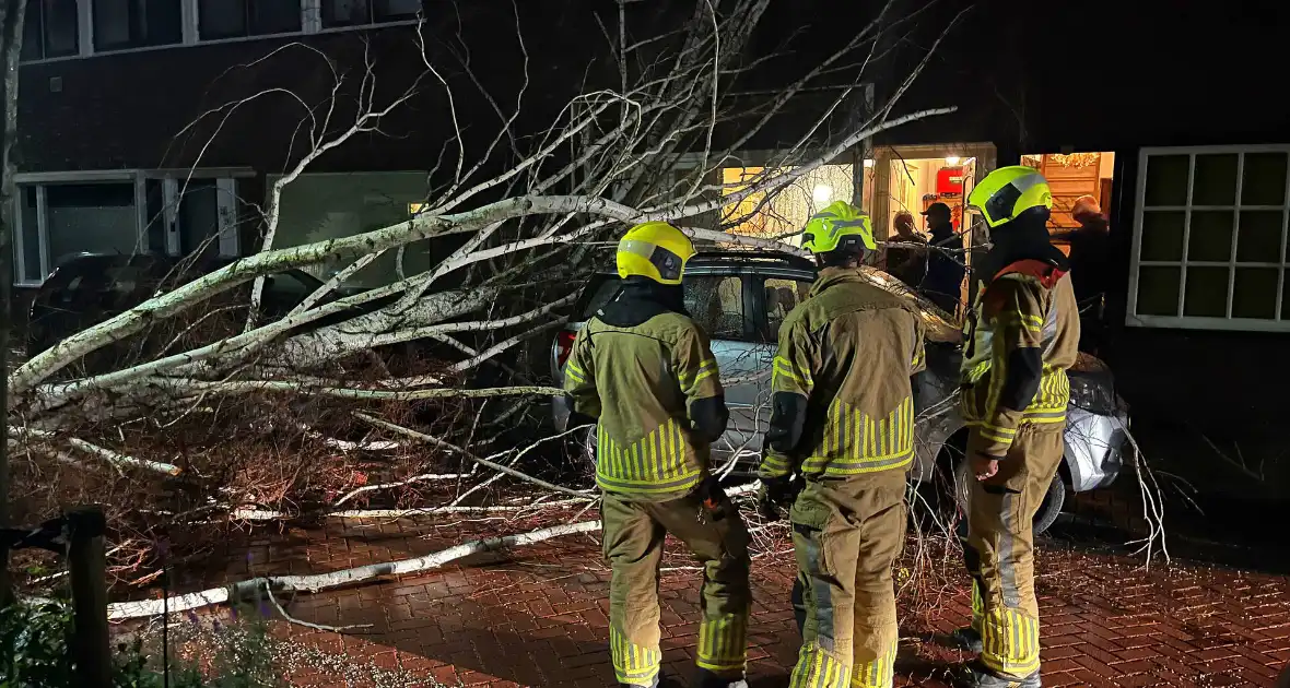 Boom valt op geparkeerde auto door sterke wind - Foto 5