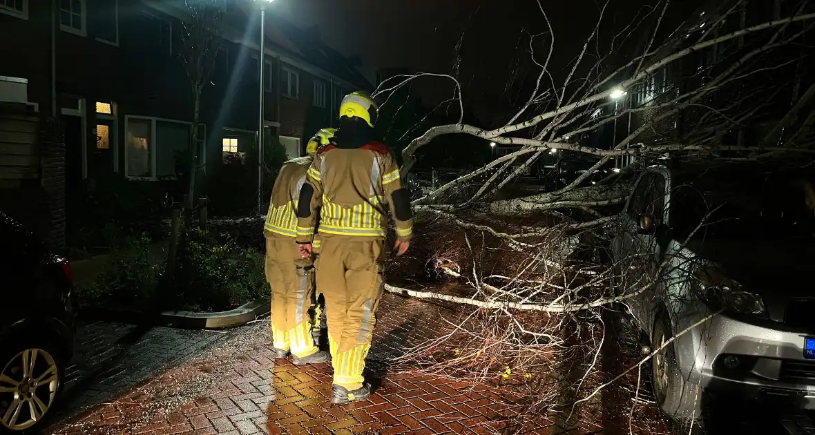 Boom valt op geparkeerde auto door sterke wind - Foto 6