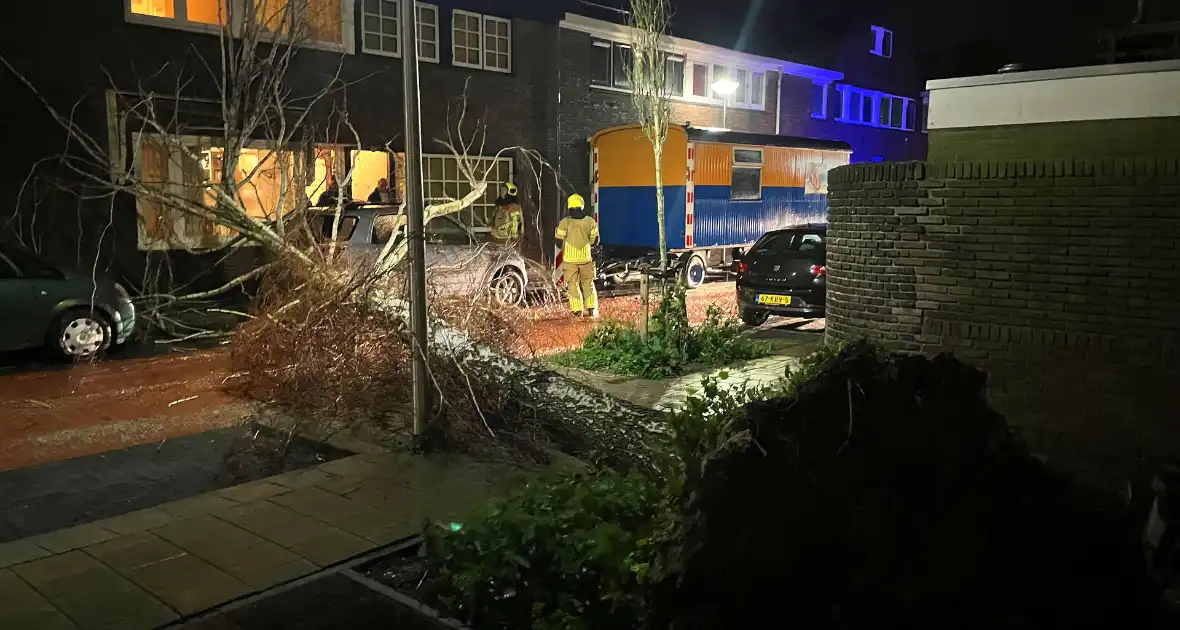 Boom valt op geparkeerde auto door sterke wind - Foto 7