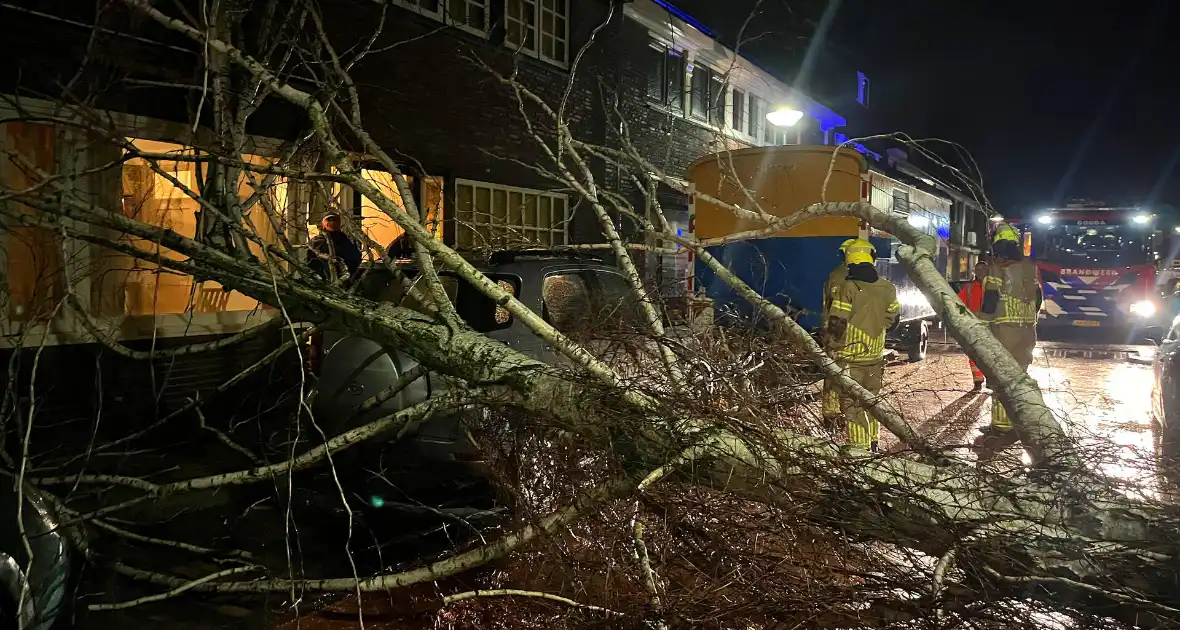 Boom valt op geparkeerde auto door sterke wind - Foto 8