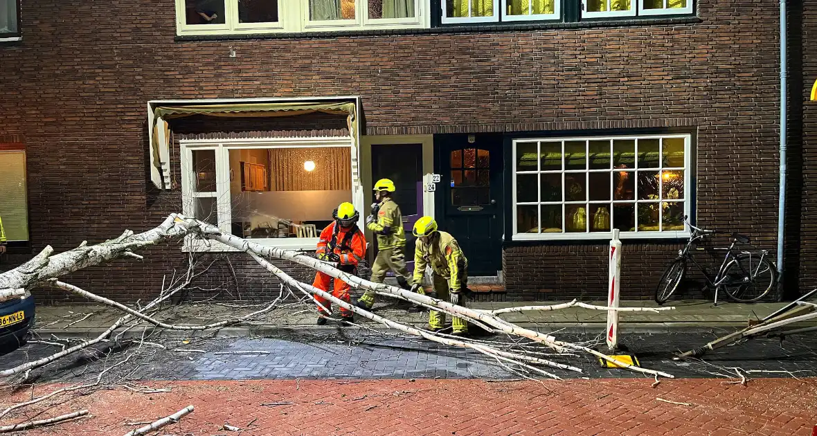 Boom valt op geparkeerde auto door sterke wind - Foto 9