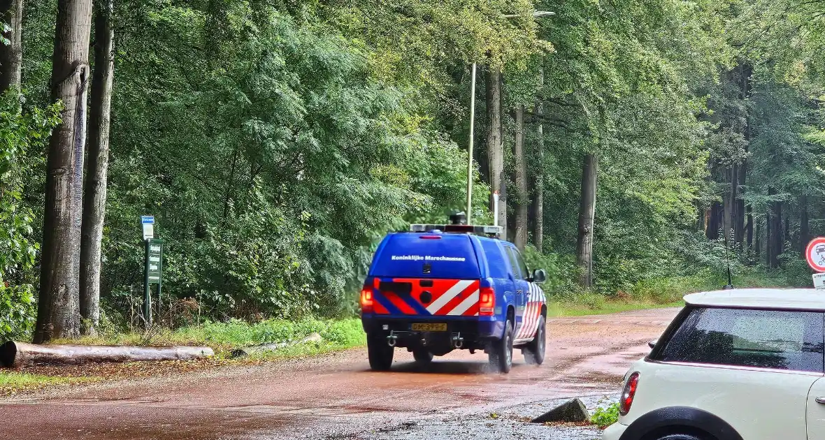 Politie massaal op zoek naar vermiste jongen - Foto 1