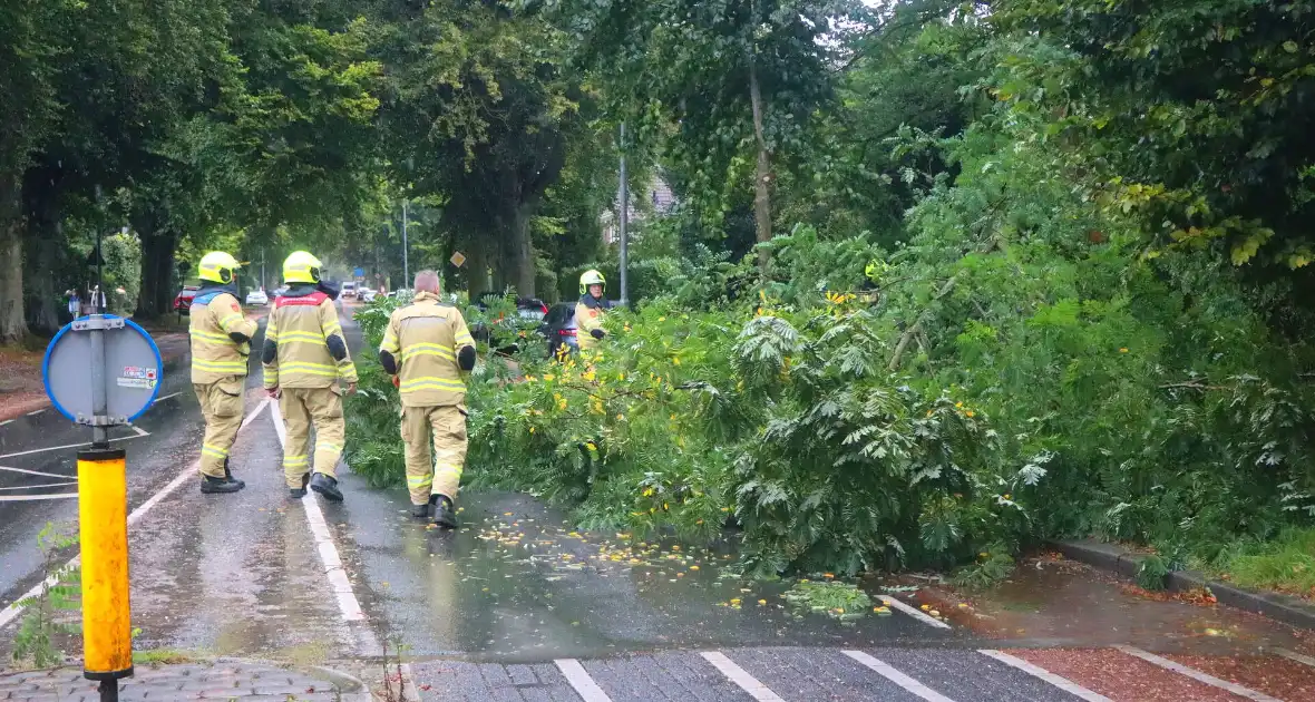 Brandweer verwijdert afgebroken tak van wegdek