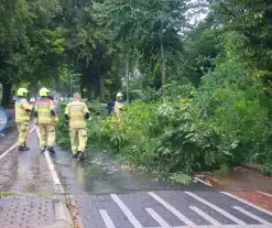 Brandweer verwijdert afgebroken tak van wegdek