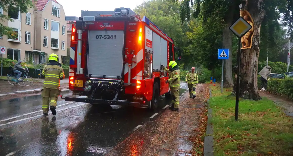 Brandweer verwijdert afgebroken tak van wegdek - Foto 1