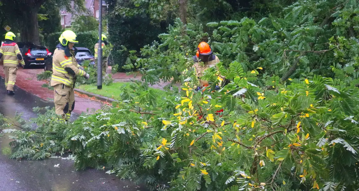 Brandweer verwijdert afgebroken tak van wegdek - Foto 3