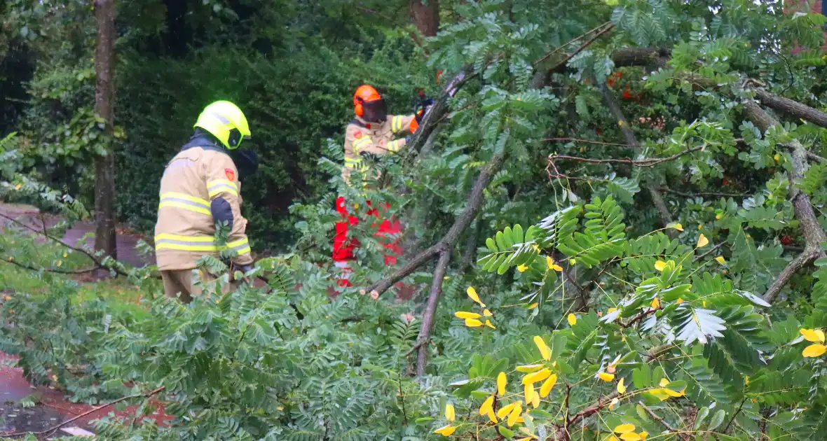 Brandweer verwijdert afgebroken tak van wegdek - Foto 4