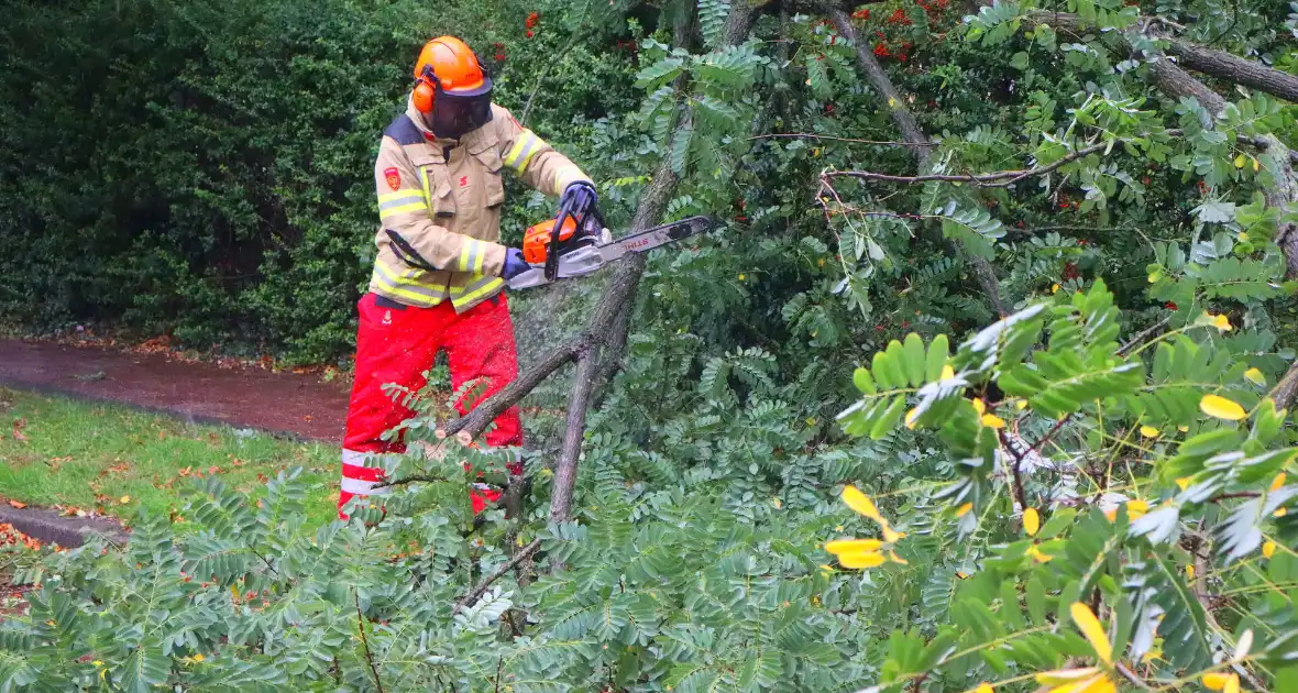 Brandweer verwijdert afgebroken tak van wegdek - Foto 5