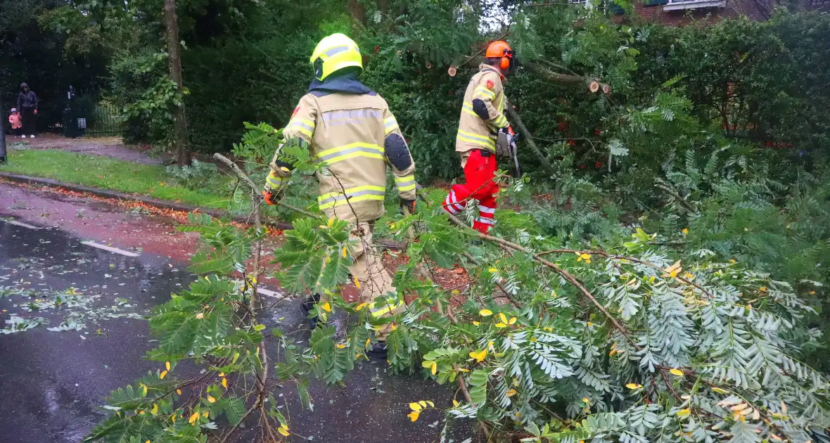 Brandweer verwijdert afgebroken tak van wegdek - Foto 6