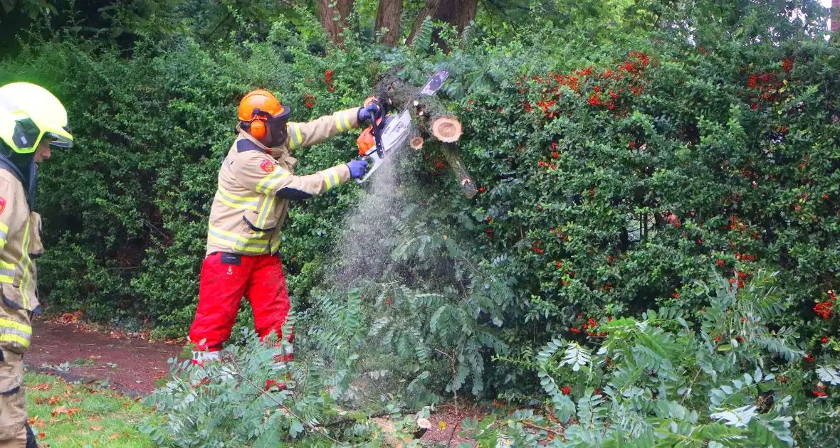 Brandweer verwijdert afgebroken tak van wegdek - Foto 7