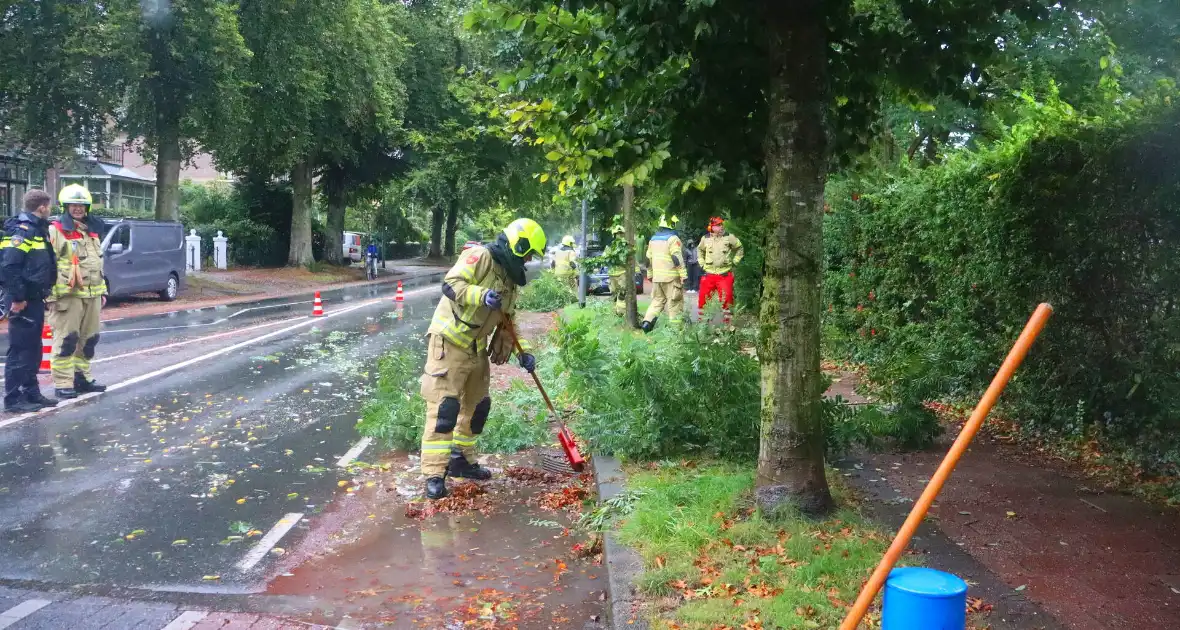 Brandweer verwijdert afgebroken tak van wegdek - Foto 8