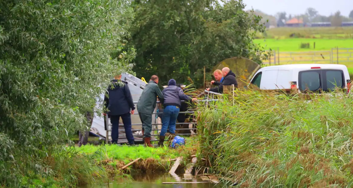 Vrouw aangevallen door stier - Foto 3