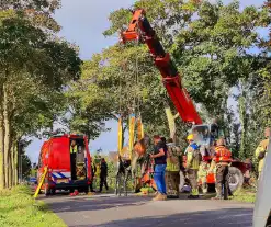 Brandweer haalt met man en macht koppig paard uit sloot