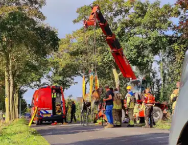 Brandweer haalt met man en macht koppig paard uit sloot