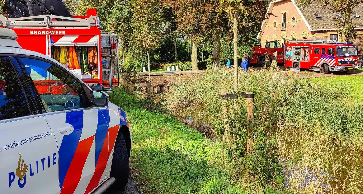 Brandweer haalt met man en macht koppig paard uit sloot - Foto 1