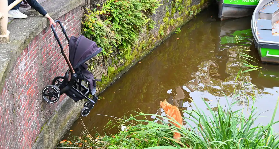 Kat gered die te water raakt - Foto 4