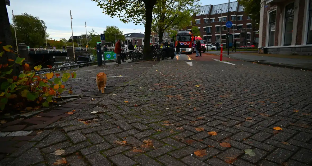 Kat gered die te water raakt - Foto 6