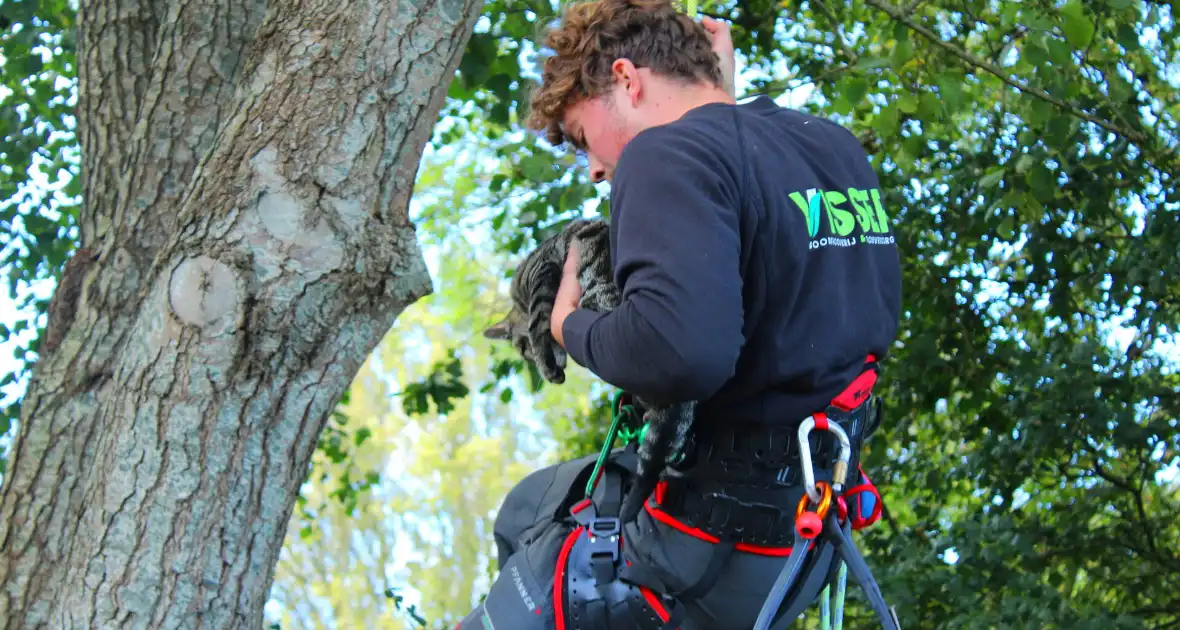 Hoogwerker ingezet voor kat in boom - Foto 13