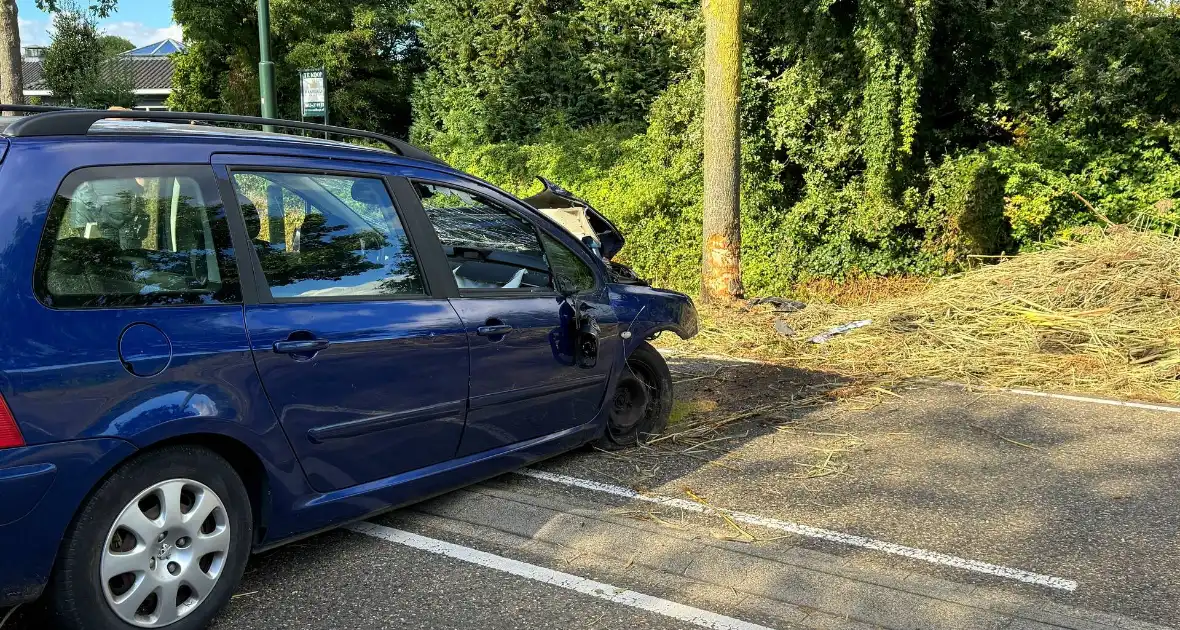 Auto krijgt klapband, bestuurder verliest macht over stuur en klapt op boom - Foto 3