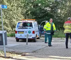 Brandweer assisteert dierenambulance bij kat in boom