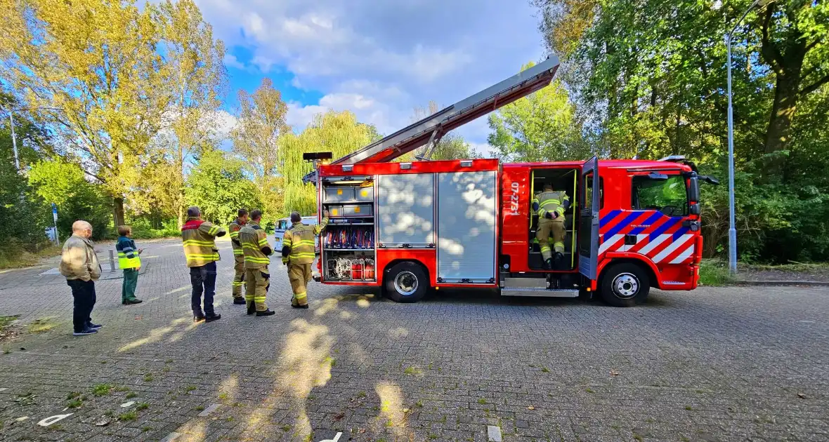 Brandweer assisteert dierenambulance bij kat in boom - Foto 1