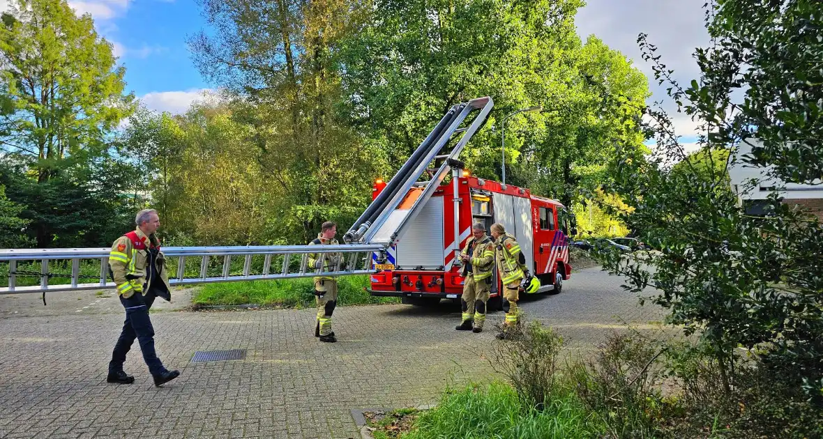 Brandweer assisteert dierenambulance bij kat in boom - Foto 2