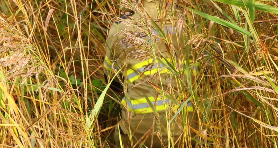 Brandweer assisteert dierenambulance bij zoektocht naar kat - Foto 2