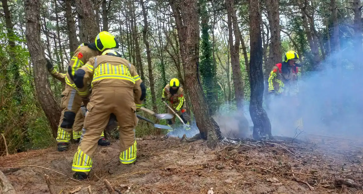 Brandweer grijpt in bij brandstichting in bos