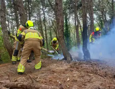 Brandweer grijpt in bij brandstichting in bos