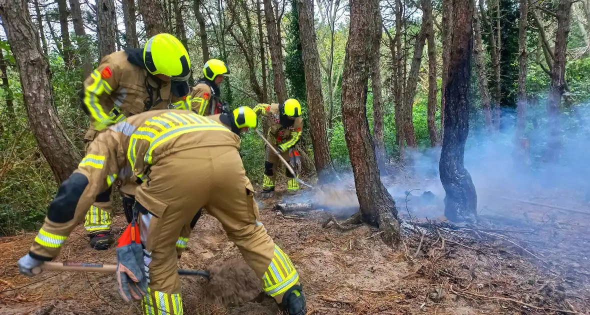 Brandweer grijpt in bij brandstichting in bos - Foto 1