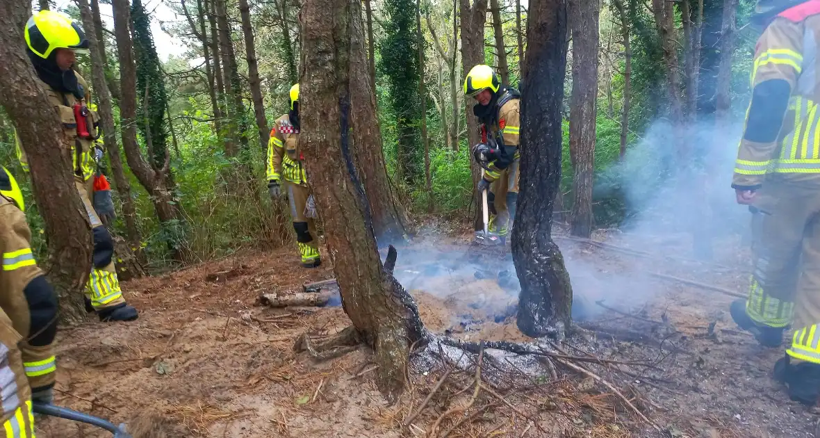 Brandweer grijpt in bij brandstichting in bos - Foto 2