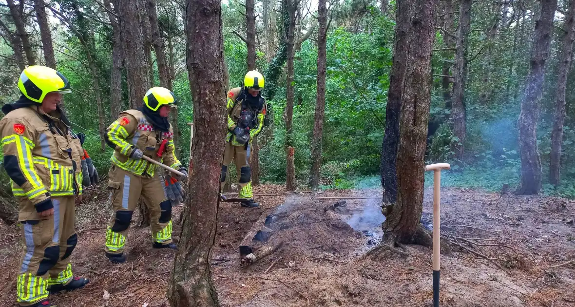 Brandweer grijpt in bij brandstichting in bos - Foto 3