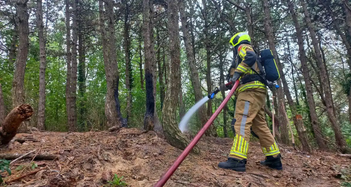 Brandweer grijpt in bij brandstichting in bos - Foto 4