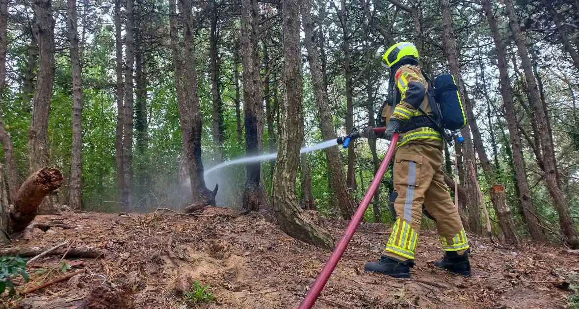 Brandweer grijpt in bij brandstichting in bos - Foto 5