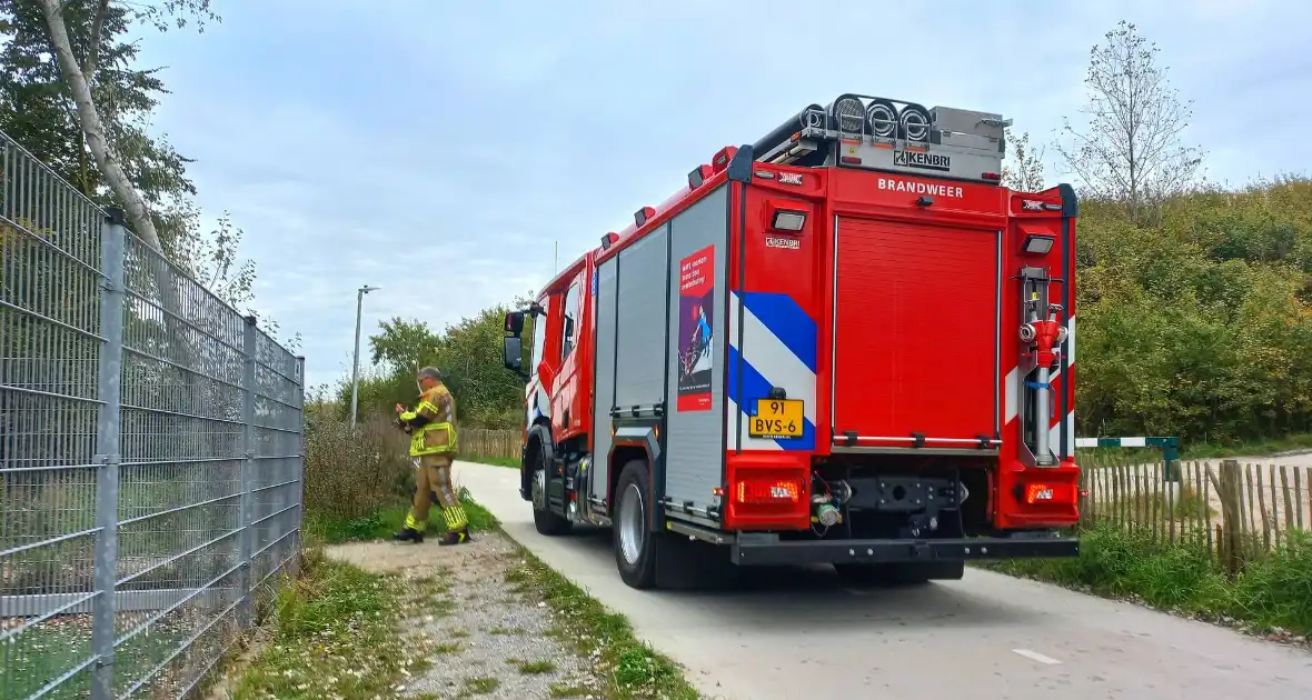 Brandweer grijpt in bij brandstichting in bos - Foto 6