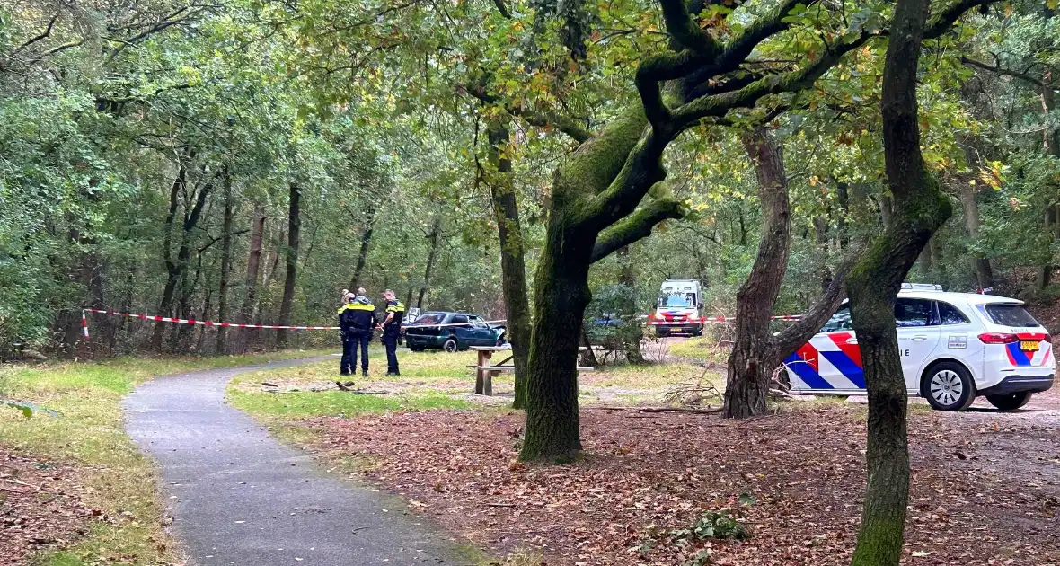 Vier gewonden bij frontale botsing in bos - Foto 2