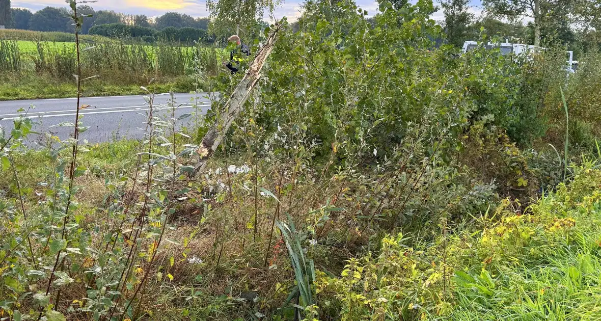 Automobilist ramt boom en belandt op zij in bietenveld - Foto 9