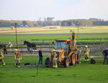 Paard valt opnieuw in sloot bij reddingsactie