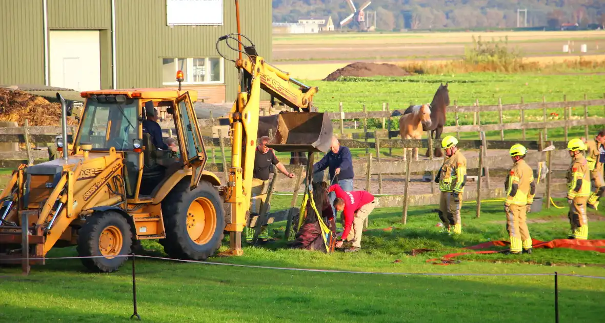 Paard valt opnieuw in sloot bij reddingsactie - Foto 1