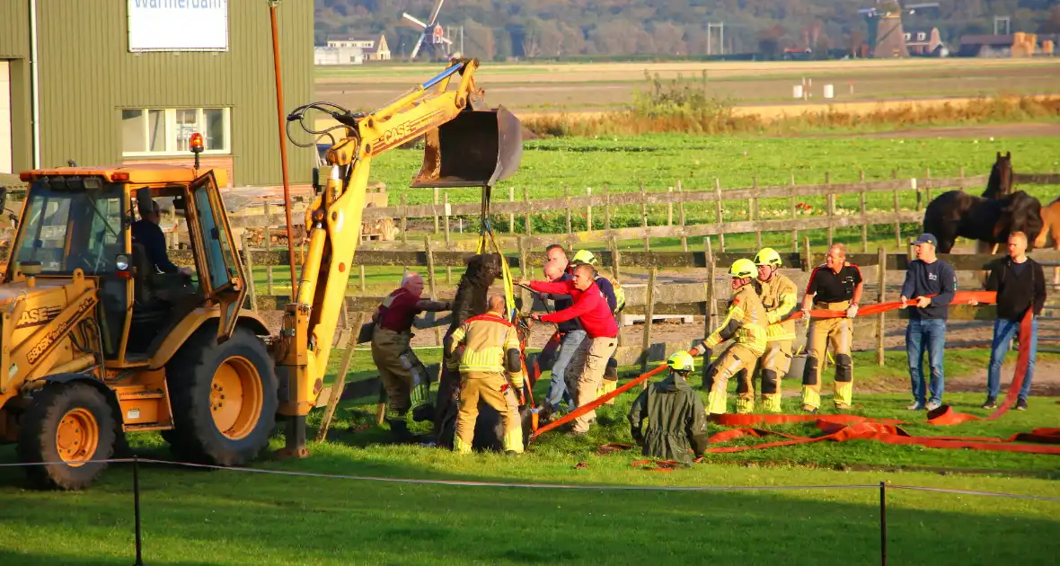 Paard valt opnieuw in sloot bij reddingsactie - Foto 2