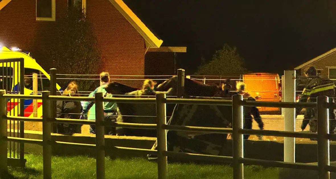 Traumateam ingezet voor ongeval op manage - Foto 3