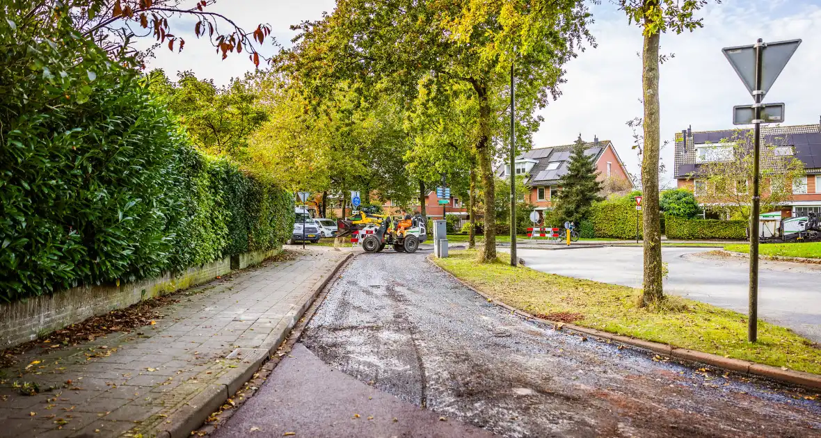 Omleidingen in buurt Hoge Hoven in Nieuwland door wegwerkzaamheden - Foto 5